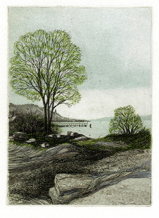 Color etching illustrating the Hudson River in Mid-Hudson valley, NY, with budding tree and rocky foreground