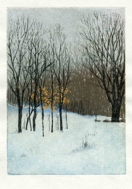 Color etching illustrating a snowy landscape of bare trees and forest edge in Dutchess County, NY