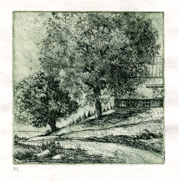 Etching illustrating a rearm house with two large trees on a tree farm overlooking a lake in Dutchess County, NY