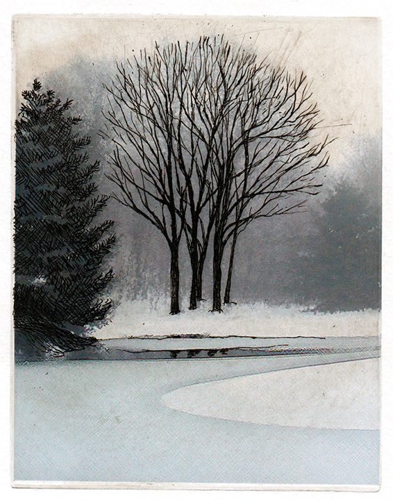 Trees in winter fog